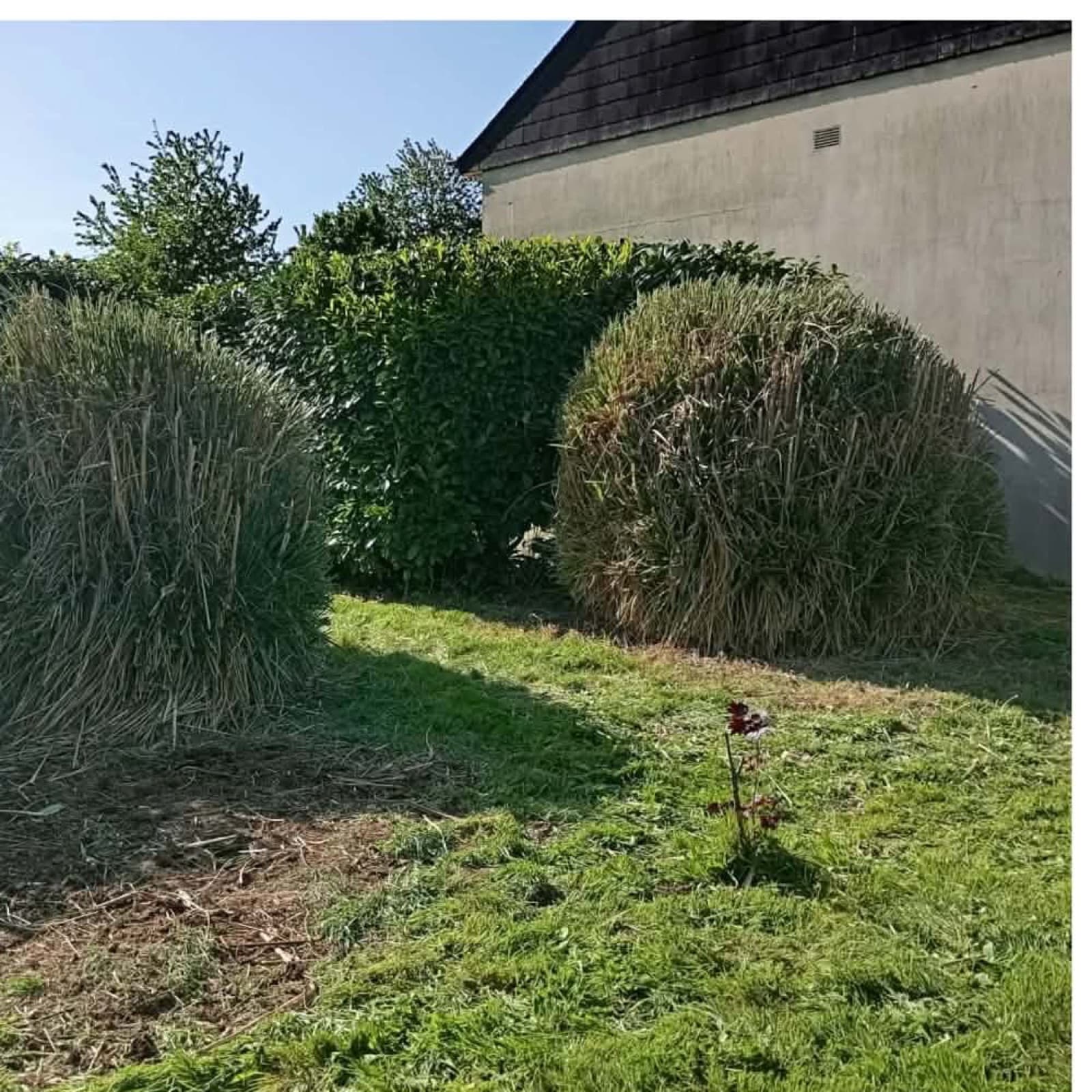 Fond de jardin envahi par les herbes hautes, avant puis après débroussaillage et remise au propre